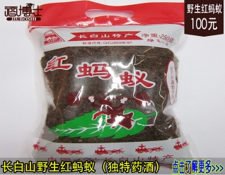 长白山红蚂蚁
